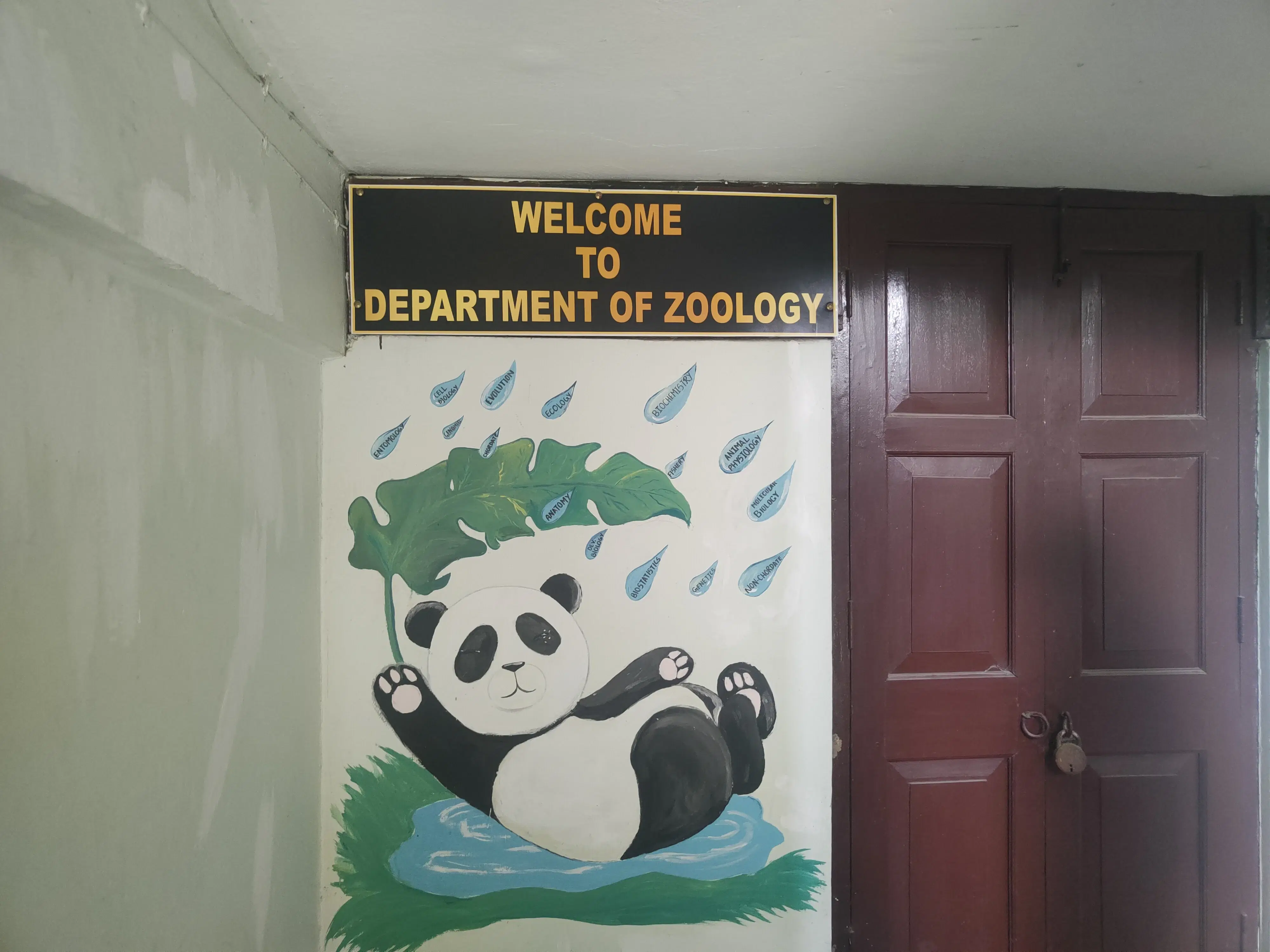 Darrang College Tezpur Department Buildings photo 3